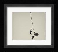 The Rumpus Fine Art Print