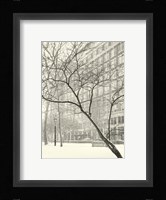 Soft Parade Fine Art Print