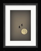 Two Gulls Fine Art Print