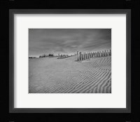 Anglesea Moire II Fine Art Print