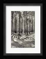 Encore Fine Art Print