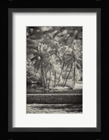 Retaining Wall Fine Art Print