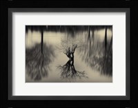 Rhizomes Fine Art Print