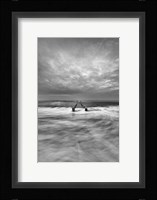 Yin Yang Fine Art Print