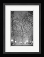 Quaternary Age Fine Art Print