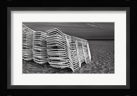 Great Whites Fine Art Print