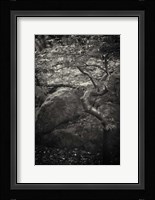 en plein air Fine Art Print