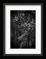 Stage Fright Fine Art Print