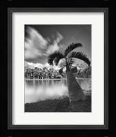 Strange Oasis Fine Art Print