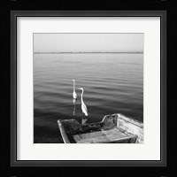 2 Herons Leaving Fine Art Print