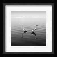 2 Herons Fine Art Print