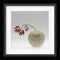 New Chinese Maple Framed Print