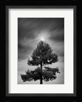 The Drama of the Gifted Child Fine Art Print