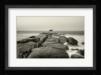 Dentata Fine Art Print