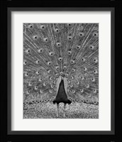 The Myth of Argus Fine Art Print