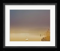 Fog of Peace Fine Art Print