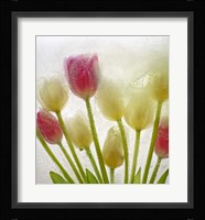 Flores Congeladas 614 Fine Art Print
