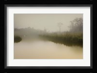 South Meadows Fine Art Print