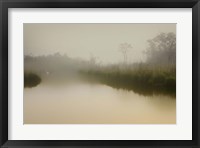 South Meadows Fine Art Print