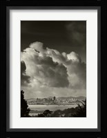 Colony Fine Art Print