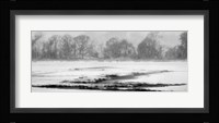 Blizzard Fine Art Print