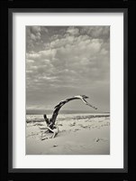 Spice Box of Earth Fine Art Print