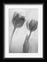 Flowers on Ice-1 Fine Art Print