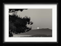 That Is That Fine Art Print