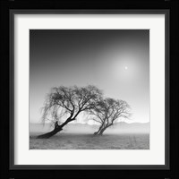 Reverencia Fine Art Print