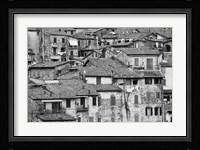 San Griminiano Texture Fine Art Print