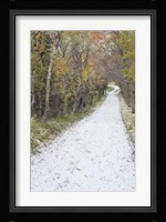 Snow Way 1 Fine Art Print