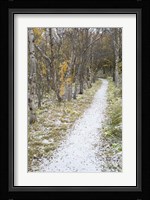 Snow Way 2 Fine Art Print