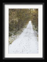Snow Way 3 Fine Art Print