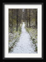 Snow Way 4 Fine Art Print