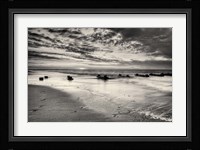 Pathetique Fine Art Print