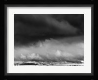 The Phoenix experience Fine Art Print