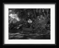 Strictly Ballroom Fine Art Print