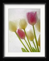 Flores Congeladas 605 Fine Art Print