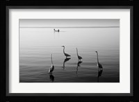 4 Heron and Boat Fine Art Print