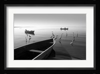 Herons and 3 Boats Fine Art Print