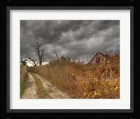 Who Killed My Sister Fine Art Print