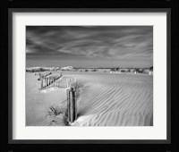 Anglesea Moire I Fine Art Print