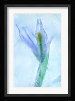 Flores Azules 56 Fine Art Print