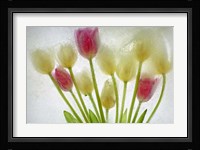 Flores Congeladas 603 1 Fine Art Print