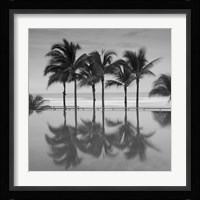 6 Palmeras Fine Art Print