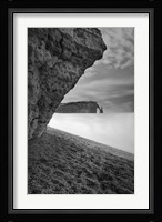 Despite What You May Have Heard Fine Art Print