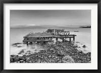 After the Moneys Gone Framed Print