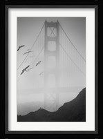 Golden Gate Pier and Birds II Fine Art Print