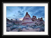 Cottonwood I Fine Art Print