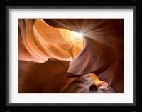 Searching Light III Fine Art Print